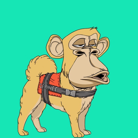 Kennel Ape #6874