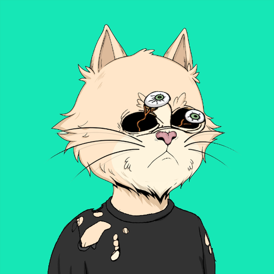 Angry Cat YC #2789