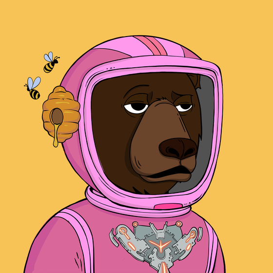 Okay Space Bear #5365