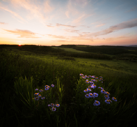 Peaceful Sunrise