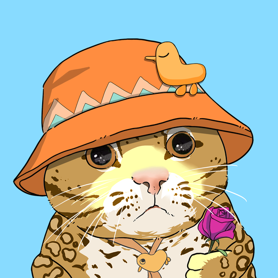 Puzzled cat #7462