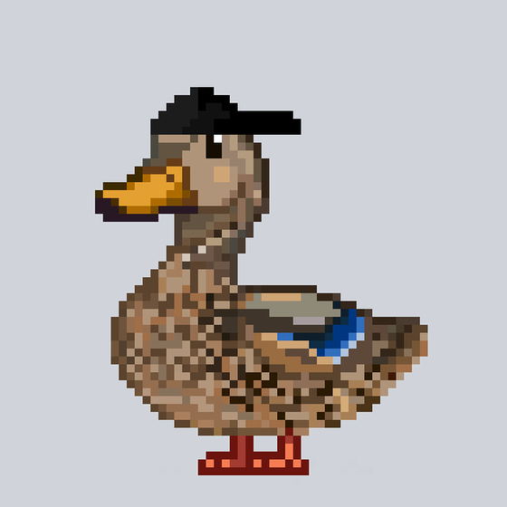 Mallard #2645