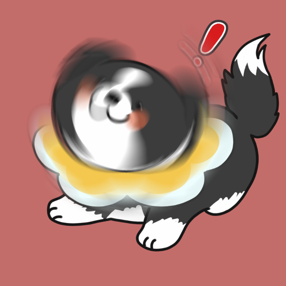 DogDrill#805
