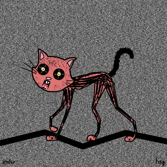 cat #2065