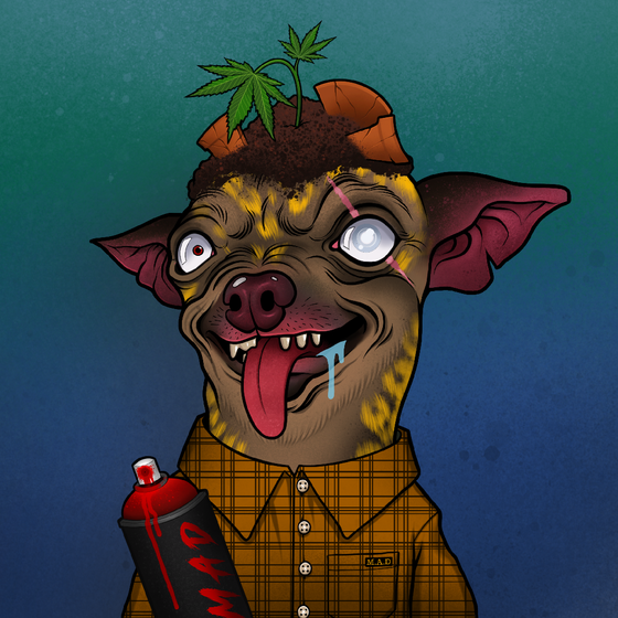 Mad Chihuahua #1340