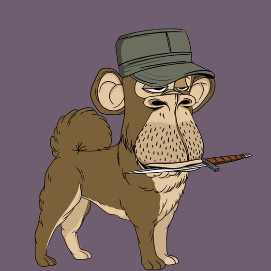 Kennel Ape #9519