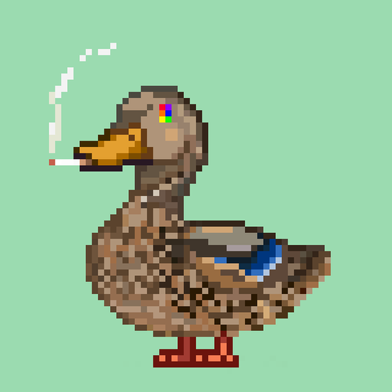 Mallard #4951