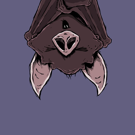 Moon Bats #6349