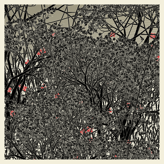 Entangled #398