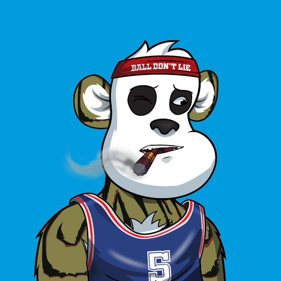 B-ball Pandas #2010