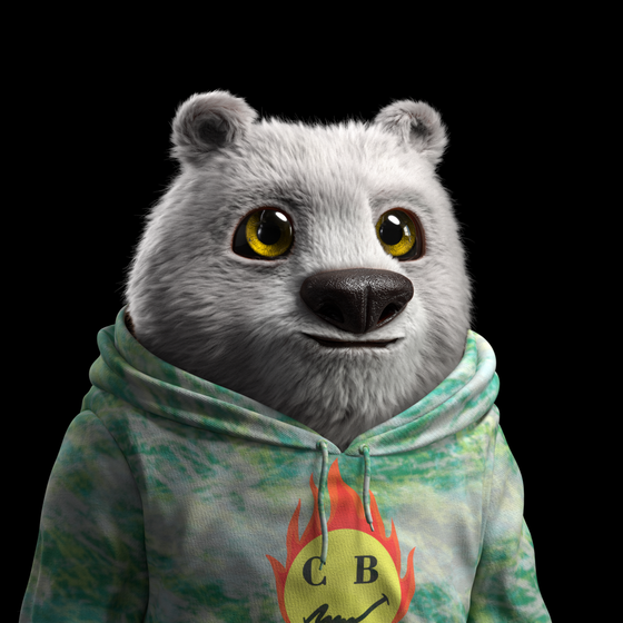 Crypto Bear #2508