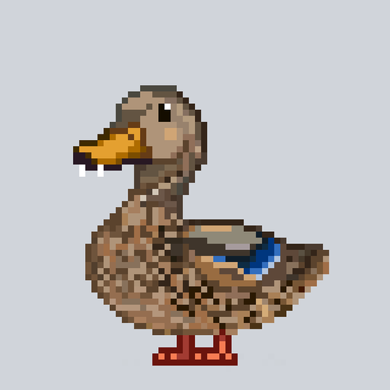 Mallard #3553