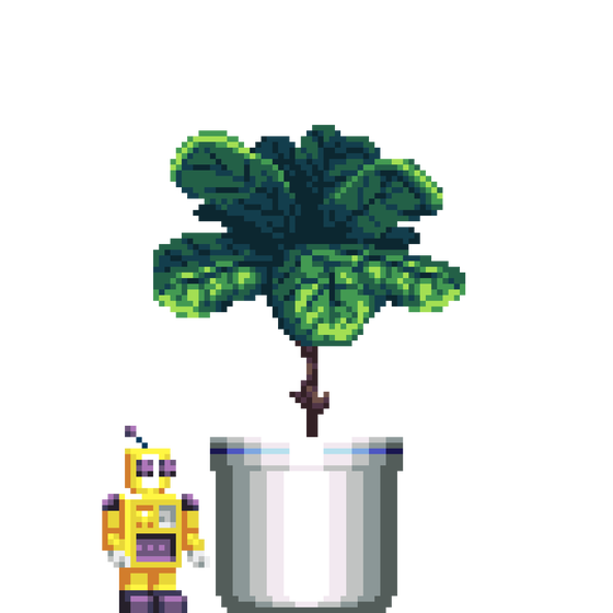 Fiddle-Leaf Fig in Large Pinstripe pot with Robot