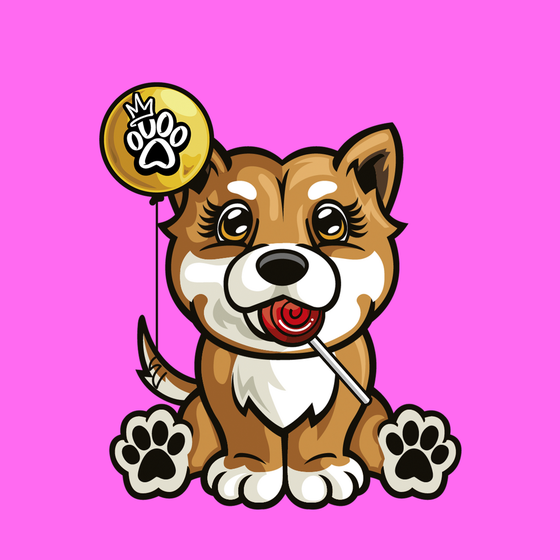 Shiba Inu 0530