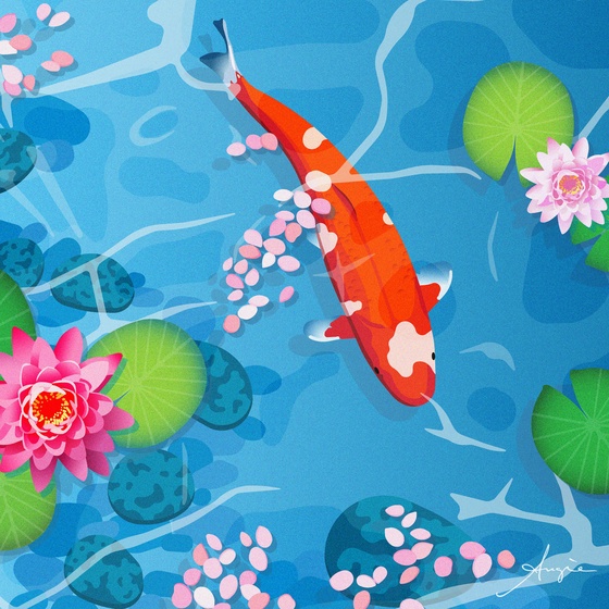 Koi