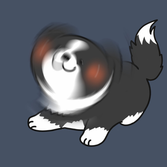 DogDrill#1332