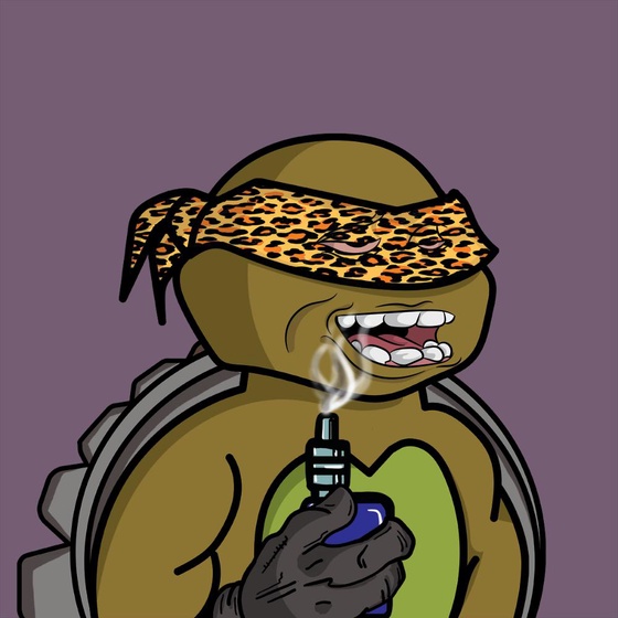 Degen Ninja Turtle #2562