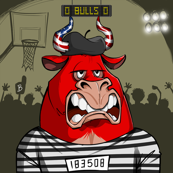 Bulls on Block