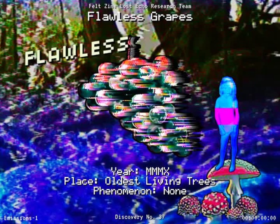 #37 | Flawless Grapes