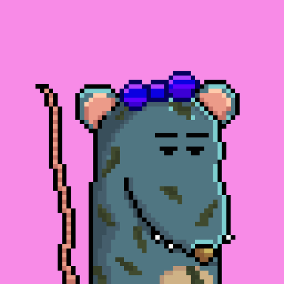 Random Rat #469