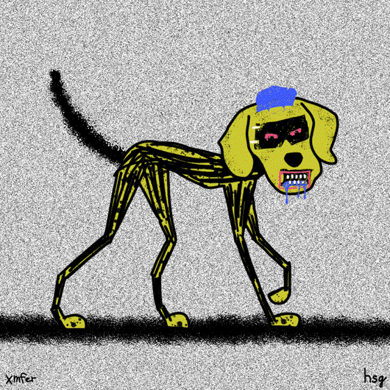 dog #237