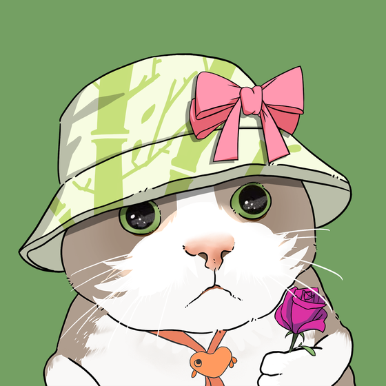 Puzzled cat #6900