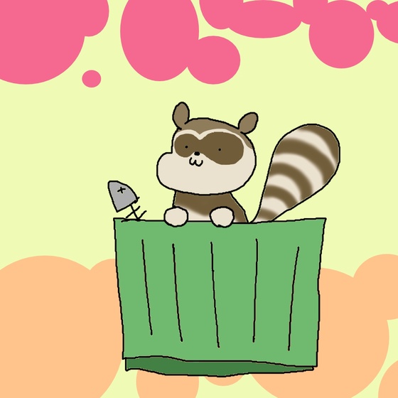 Raccoon