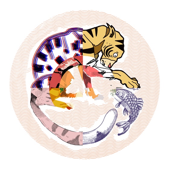 The Tiger & The Fish #330