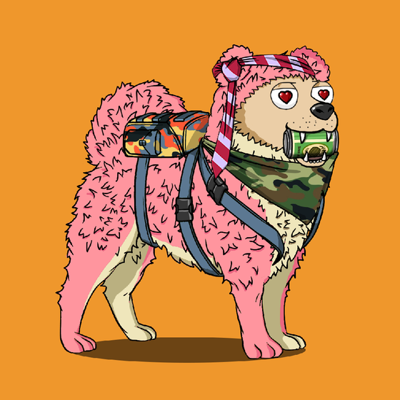y00ts Canine Club #3147