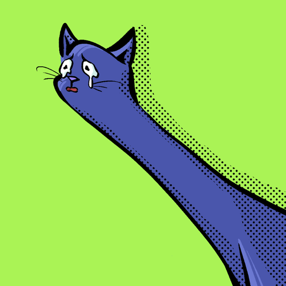 LoooongKitty#4333