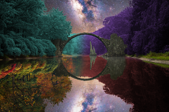 Reflection #289