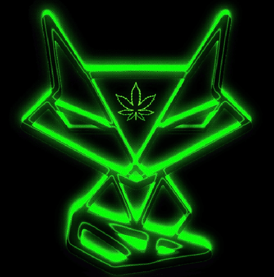 Electric Lettuce Neon Fox