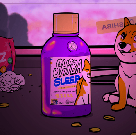 Shiba Sleep // Magic #08