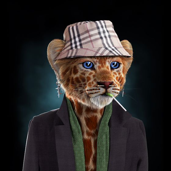 3D Fashion Cat Metaverse