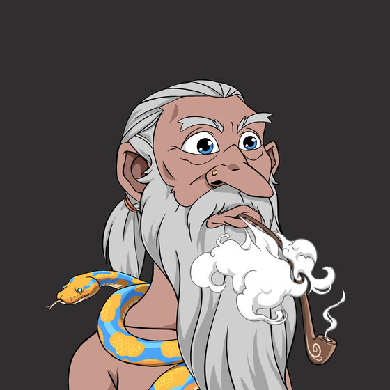 Wizard #8501