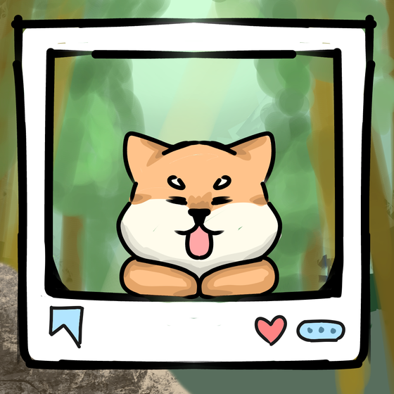 旅する犬 #74