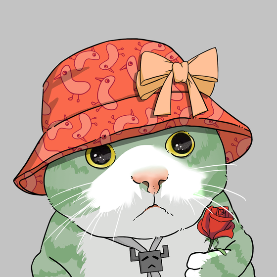 Puzzled cat #1689