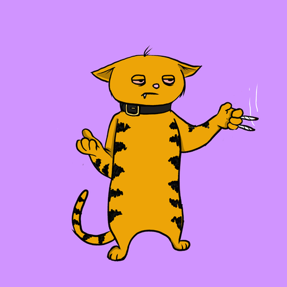 Blazed Cat #8692