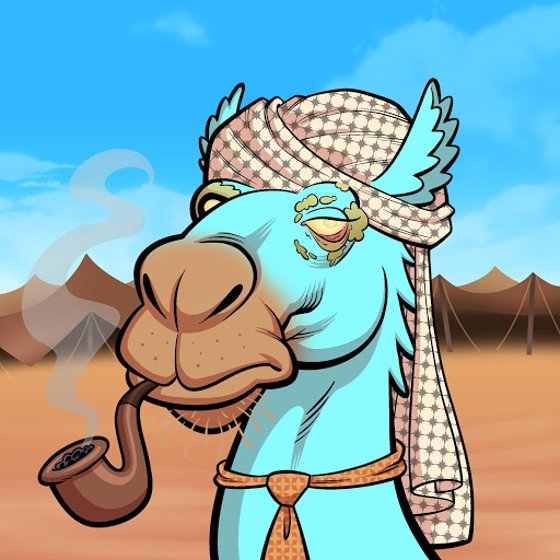 Arabian Camel #2551