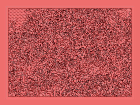 Entangled #33