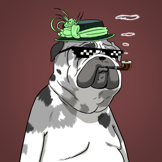 Mrs. Pixie Dogesquire, the Pug