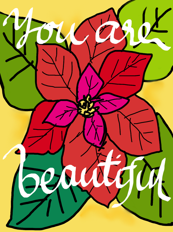 Poinsettia