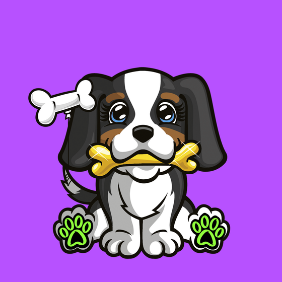 Cavalier King Charles Spaniel 0380