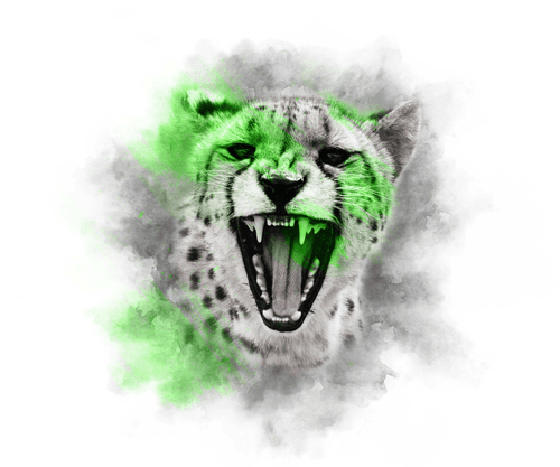 LIME SERIES - CHEETAH