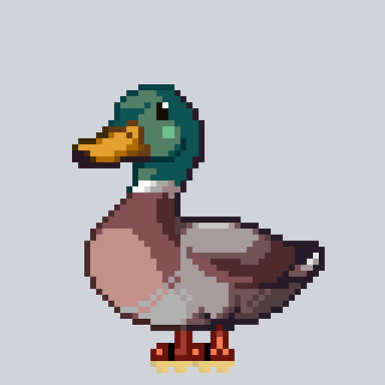 Mallard #6484