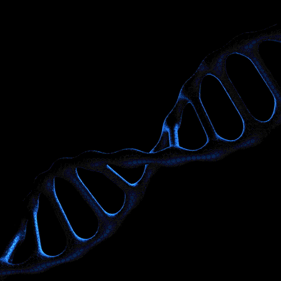 PLC Morphing Delta Gene #168