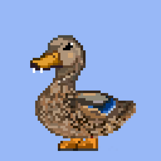 Mallard #3031