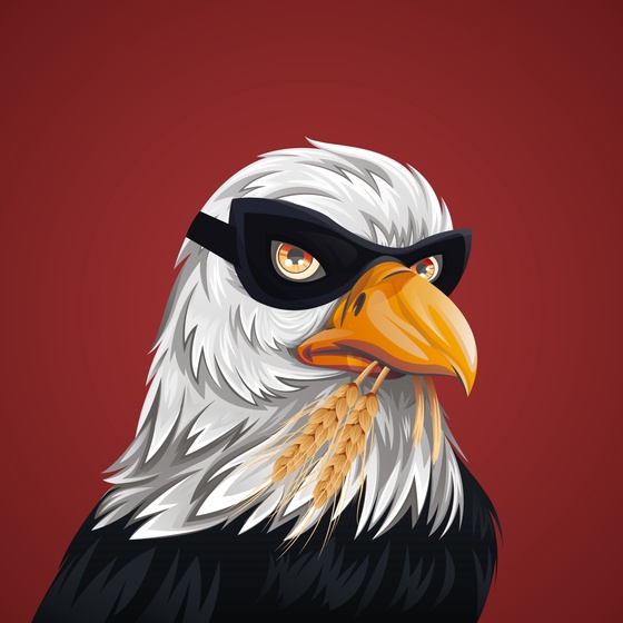 #3110 Bald Eagle