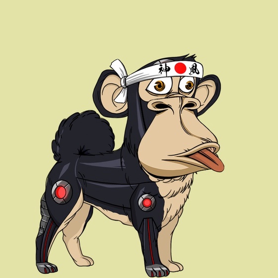 Kennel Ape #6479