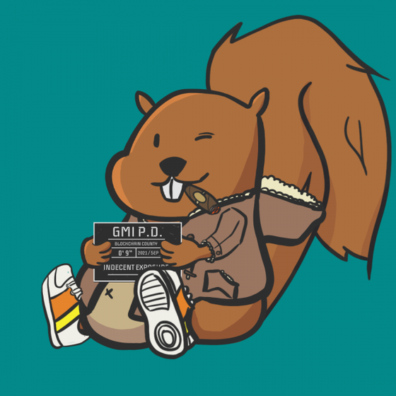 Squirrel #1104